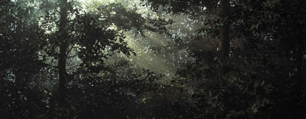 thomas demand artwork