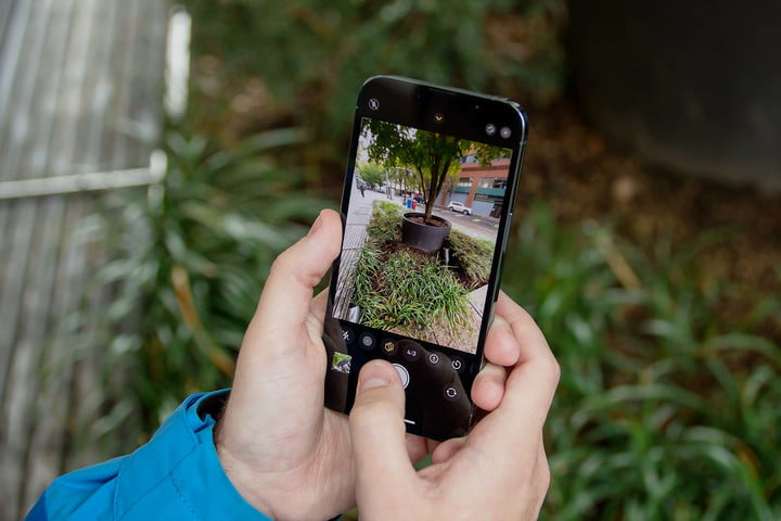 iPhone 13 Pro camera viewfinder about to capture a photo of a tree.
