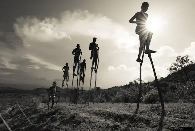 Honey Gatherers by John Deng