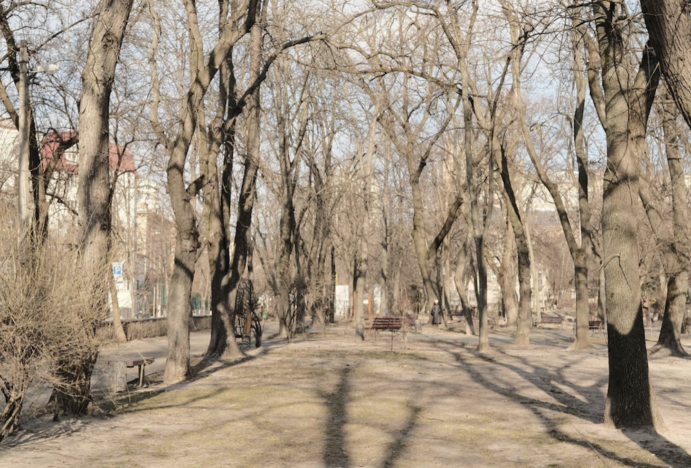During an air raid alarm, a lone woman leans against a tree in an empty park.