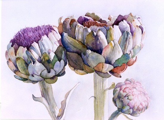 ©Jane LaFazio, Artichoke Family. Watercolor. Used with permission.